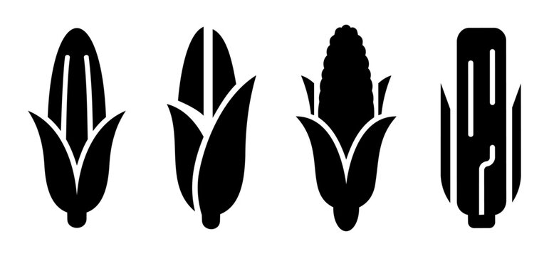 Corn on the cob icon set with black silhouettes of maize in various styles for food design
