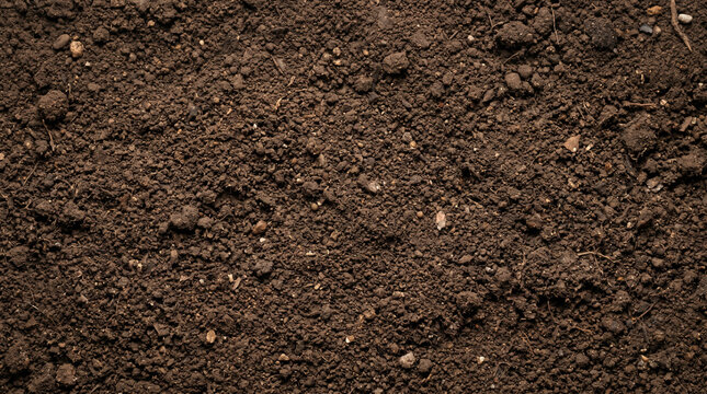 Close-up macro shot of dark rich soil, perfect for gardening and agriculture with organic texture