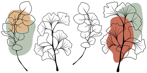 Minimalist Boho Botanical Line Art Collection: Tropical Leaves and Flowers with Organic Abstract Shapes © Tinulya