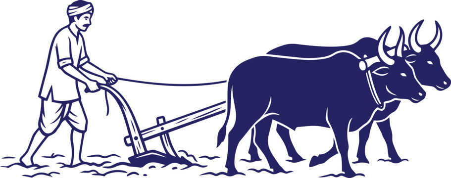 Man plowing field with two oxen.