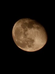 Obraz premium moon
