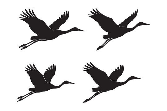 Black silhouettes of flying cranes