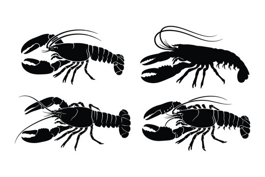 Black lobster silhouettes on white background