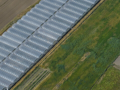 Aerial view of long rows of arched industrial greenhouses situated next to lush green fields and cultivated land in Paestum, Campania, Italy.