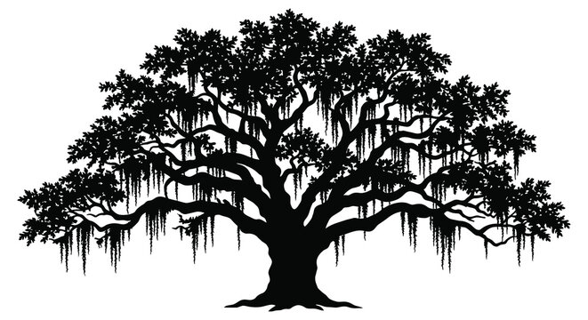 Large oak tree with hanging moss black silhouette