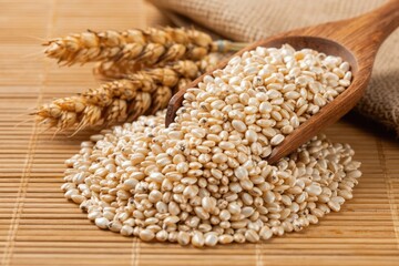 Fototapeta premium Close up of raw pearl barley grains in wooden spoon and barley ears on bamboo mat. Food ingredient for healthy cooking meals like porridge or soup.