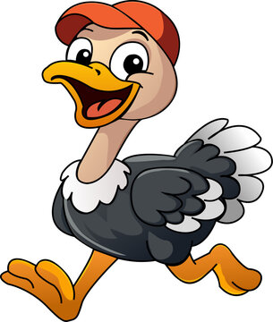  an ostrich wearing a cap