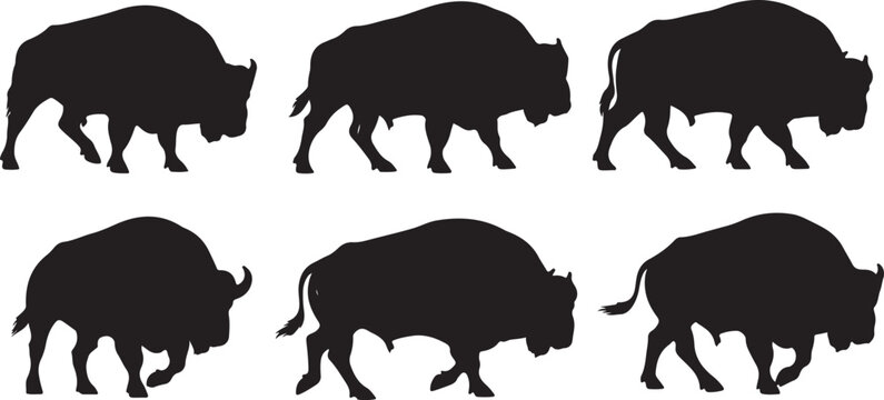 Six black bison silhouettes walking in a line