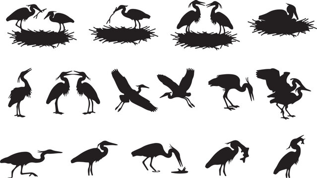 Heron and Crane Silhouettes Set with Birds Nesting Flying and Hunting Fish.