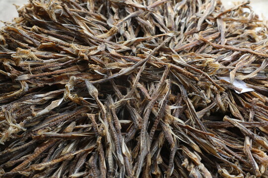 Dry fish production in Cox&rsquo;s Bazar is one of the oldest and most important traditional industries in the coastal region of Bangladesh.