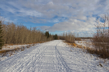 Obraz premium Pylypow Wetlands after a Snowfall in December