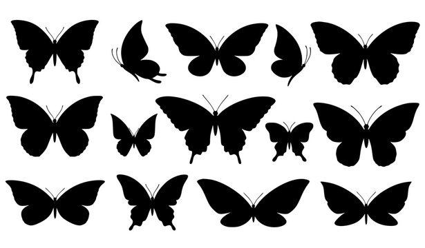 Set of Black Butterfly Silhouettes Isolated on White