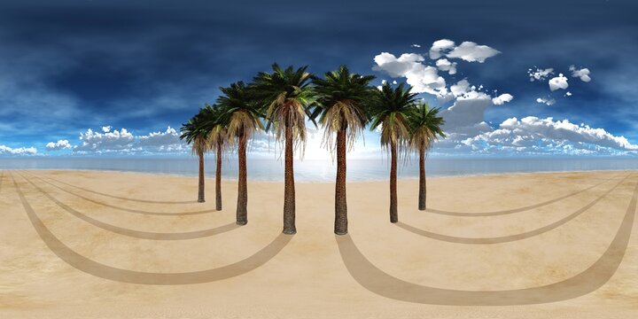 Oasis at sunset in a sandy desert. Environment map. HDRI . equidistant projection. Spherical panorama. panorama 360.
