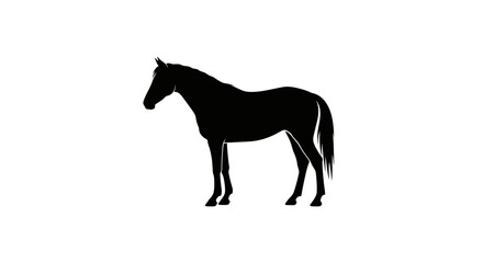 Fototapeta premium Black silhouette of a horse standing on a white background