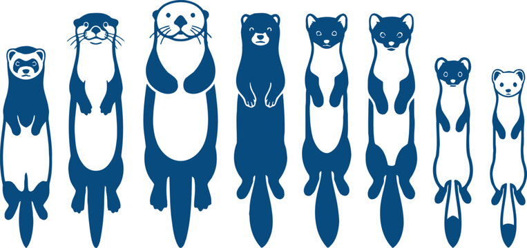 Stylized Lineup of Ferrets and Weasels