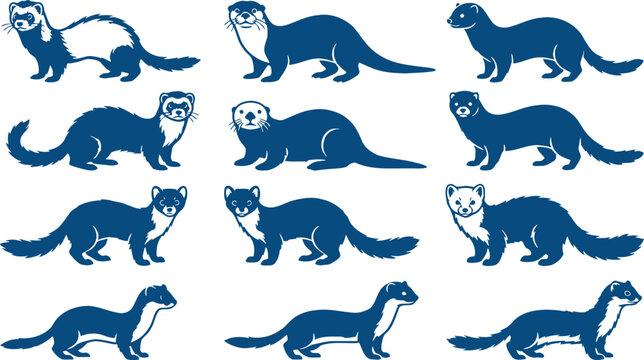 Illustration of Various Ferrets and Otters
