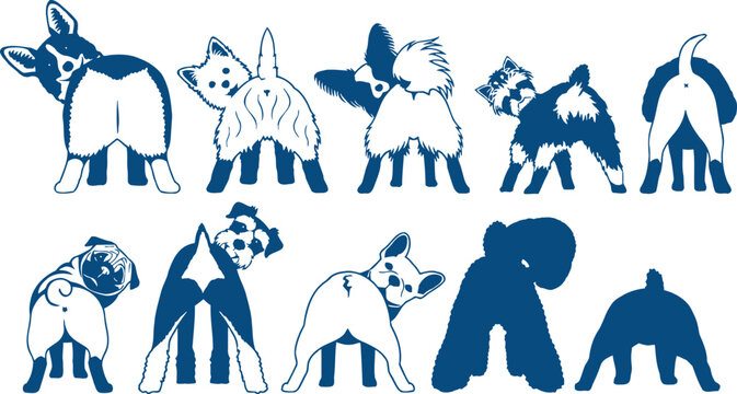 Dog Rear Illustrations: Fun and Playful Designs