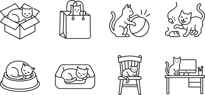 Domestic cats in various everyday locations and playing with toys