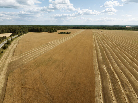 Drone perspective of a large harvested wheat field with straw windrows, a rural road and forest horizon under a cloudy summer sky in the Ural region, Russia