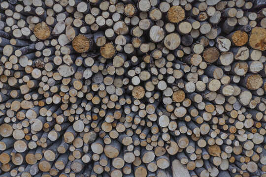 View of a large stack of cut firewood logs with various textures and circular patterns in Hallstatt, Upper Austria, Austria.