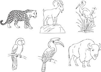 Obraz premium Funny cartoon wild animals vector illustration set featuring a black outline sketch of a bear, wolf, and rabbit for a children's fairytale coloring book drawing