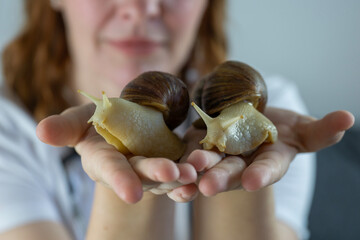 giant achatina snail pet crawling on palms of hands woman smiling softly looking away indoor setting exotic animals domestic lifestyle concept of beauty, skincare, exotic pets © Lana Pietukhova