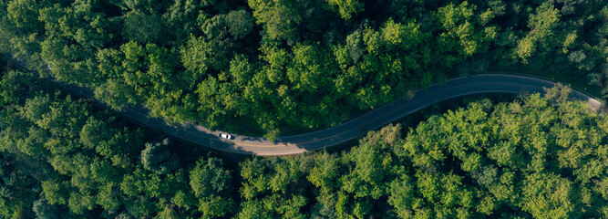 Naklejka premium Top view road in beautiful autumn forest at sunset, trees with red and orange leaves , Beautiful landscape view from flying drone in Nature