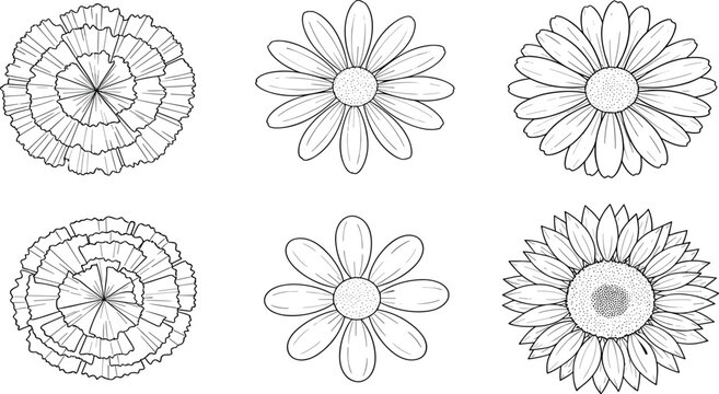 Black and White Hand Drawn Flower Collection Set with Zinnia Daisy and Sunflower Outline for Botanical and Floral Designs
