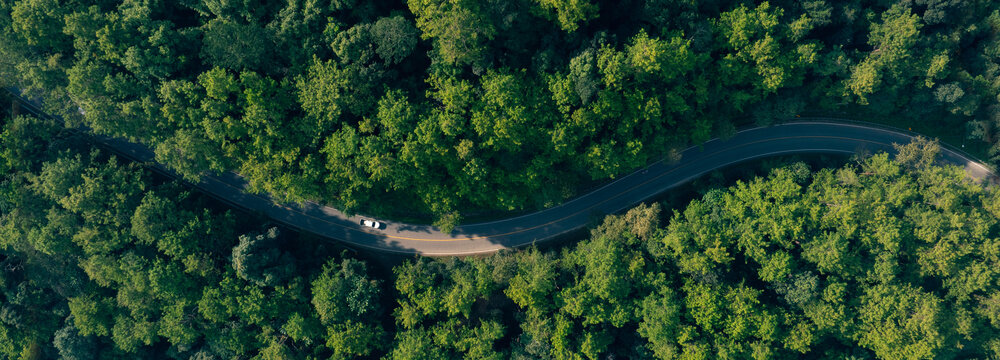 Top view road in beautiful autumn forest at sunset, trees with red and orange leaves , Beautiful landscape view from flying drone in Nature