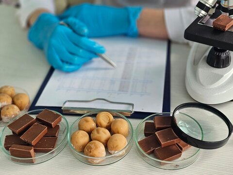 Chocolate samples are tested in a laboratory while a researcher makes notes