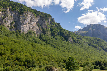 Naklejka premium Scenic view of rugged limestone mountains and dense green forest under blue sky with clouds in Prokletije National Park, Montenegro, Balkan wilderness in summer