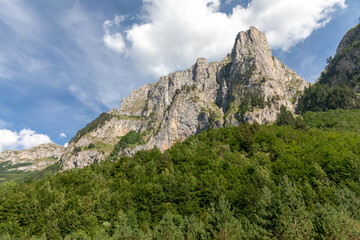 Fototapeta premium Wide landscape view of rugged limestone mountain cliffs rising above dense green forest under a blue sky with clouds in Prokletije National Park, Montenegro