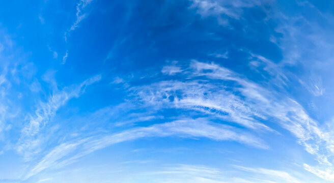 Panorama blue sky with white fluffy clouds. Copy space on panorama of cumulus and cirrus arc clouds drifting calmly across the sky toward the viewer. A majestic spectacle of soft nature's elements.