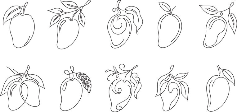 Minimalist mango line art icons set, hand-drawn vector illustrations of tropical mango fruits for design.