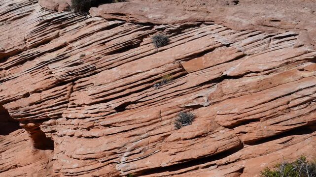 Canyon de Chelly National Monument in northeastern Arizona.