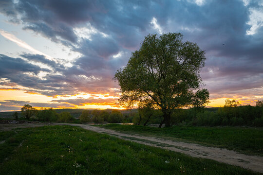 Lonely tree at sunset by a dirt road in tranquil countryside landscape of central Transylvania, Romania.