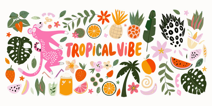 Tropical illustration with sloth fruits and palm leaves on white background
