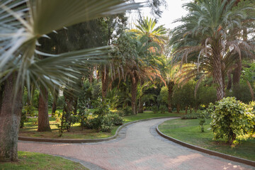 Fototapeta premium High angle wide shot of a winding stone path through the tropical palm garden at Villa Comunale di Salerno.