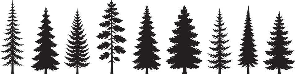Black silhouettes of various coniferous evergreen trees arranged in a horizontal row isolated on a clean white background for design © Monivara Creations
