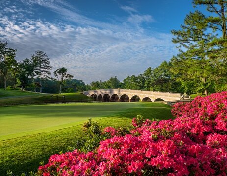 scenic hogan bridge augusta national golf course lush green golf course landscape with vibrant pink and red azalea flowers in bloom