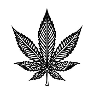 Cannabis leaf, marijuana symbol, black vector icon, leafy illustration