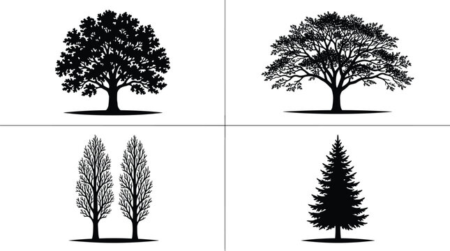 Black silhouette illustration of diverse tree types including oak, acacia, poplar, and pine arranged in a 2x2 grid design