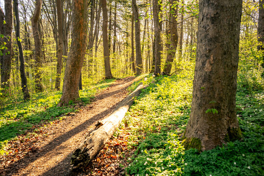 Wanderabenteuer im Harz bei sch&ouml;nem Wetter
