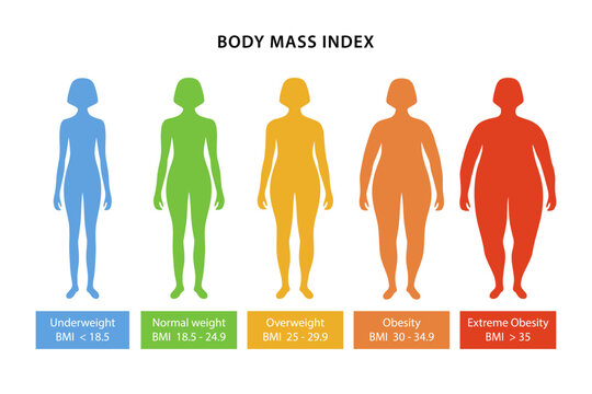 Body mass index. Silhouettes of color female bodies with varying degrees of obesity, with their body mass index indicated. Vector illustration in flat style isolated over white background.