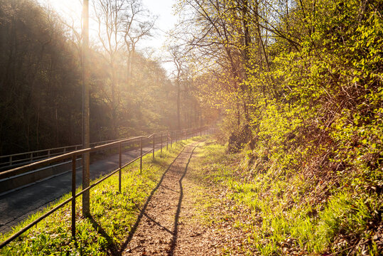 Sonnenaufgang beim Wandern des Harzer Hexenstieg