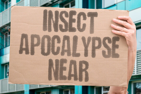"Insect Apocalypse Near" Scientists warn of an accelerating insect extinction wave across habitats. SCIENTISTS. ACCELERATING. EXTINCTION. WAVE. HABITATS.