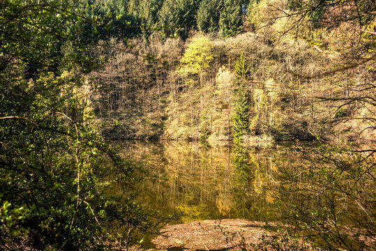 Naturerlebnis an der Rappbodetalsperre im Fr&uuml;hling