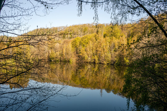 Wanderweg entlang der Rappbodetalsperre im Harz