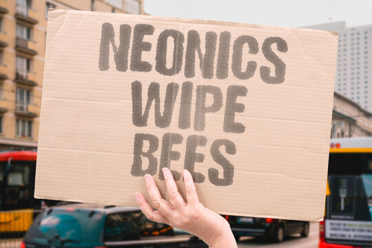 "Neonics Wipe Bees" Neonicotinoids accumulate in pollen disrupting bee navigation. NEONICOTINOIDS. POLLEN. BEE. NAVIGATION. DISRUPTING.