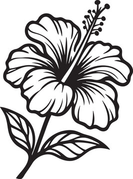 Tropical hibiscus flower isolated on white background